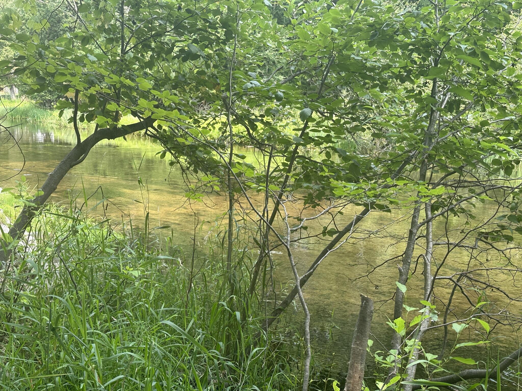 Property Photo: 9609 Whipperwill Court MI 49346