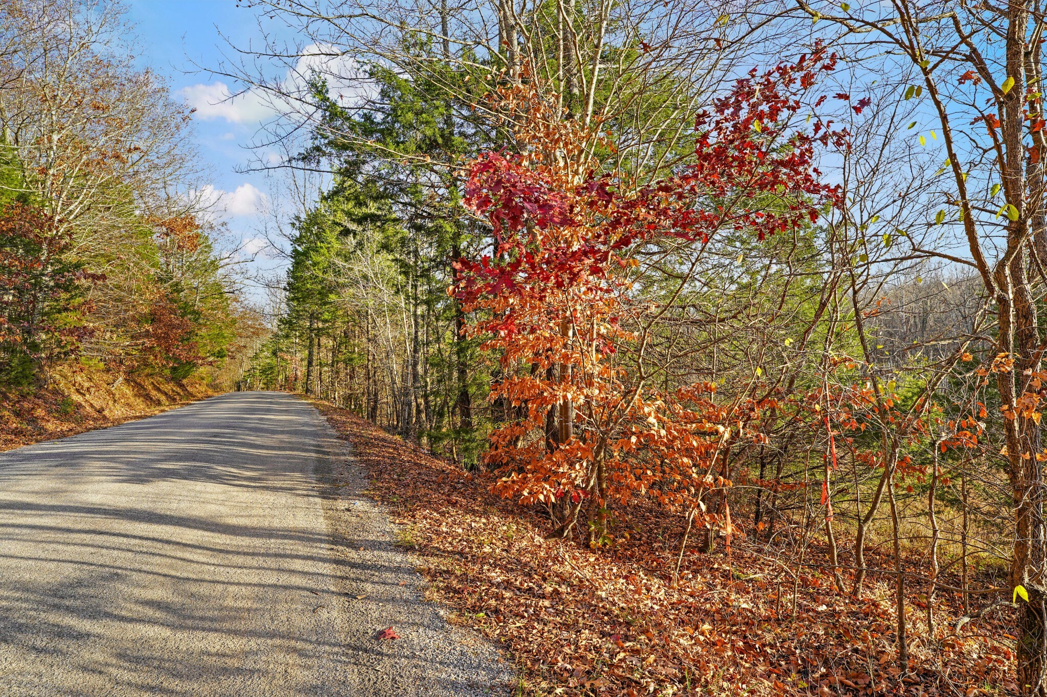 0 Melton Springs Road  Big Rock TN 37023 photo