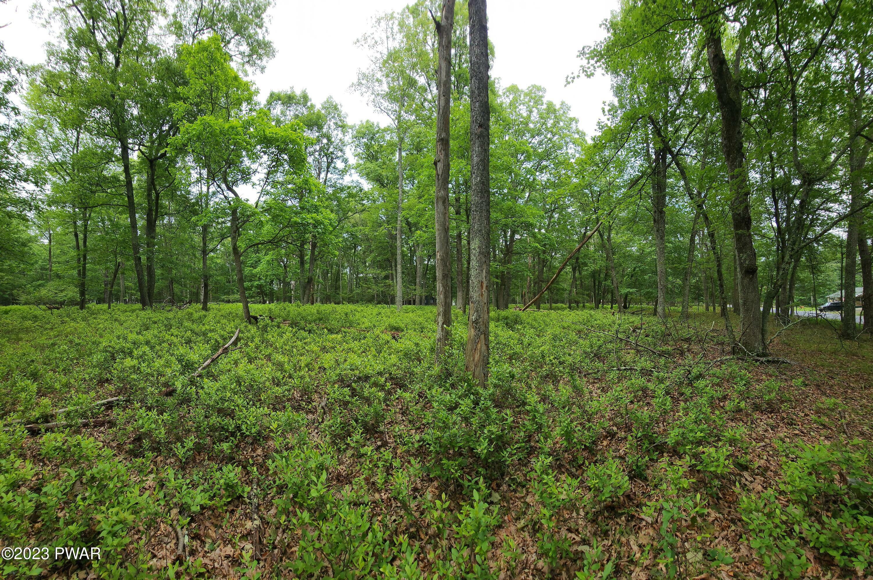 Property Photo:  Lot 26 Pine Place  PA 18428 