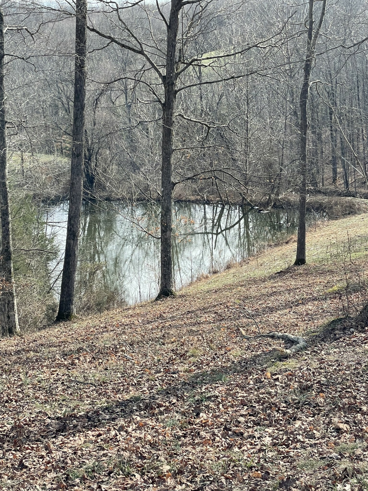 Property Photo:  0 Union Camp Road  TN 37083 