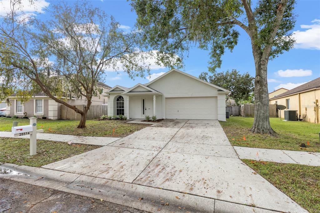 Property Photo:  28514 Meadowrush Way  FL 33543 