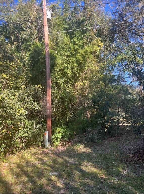 Property Photo: Tbd Jessie Avenue FL 32720