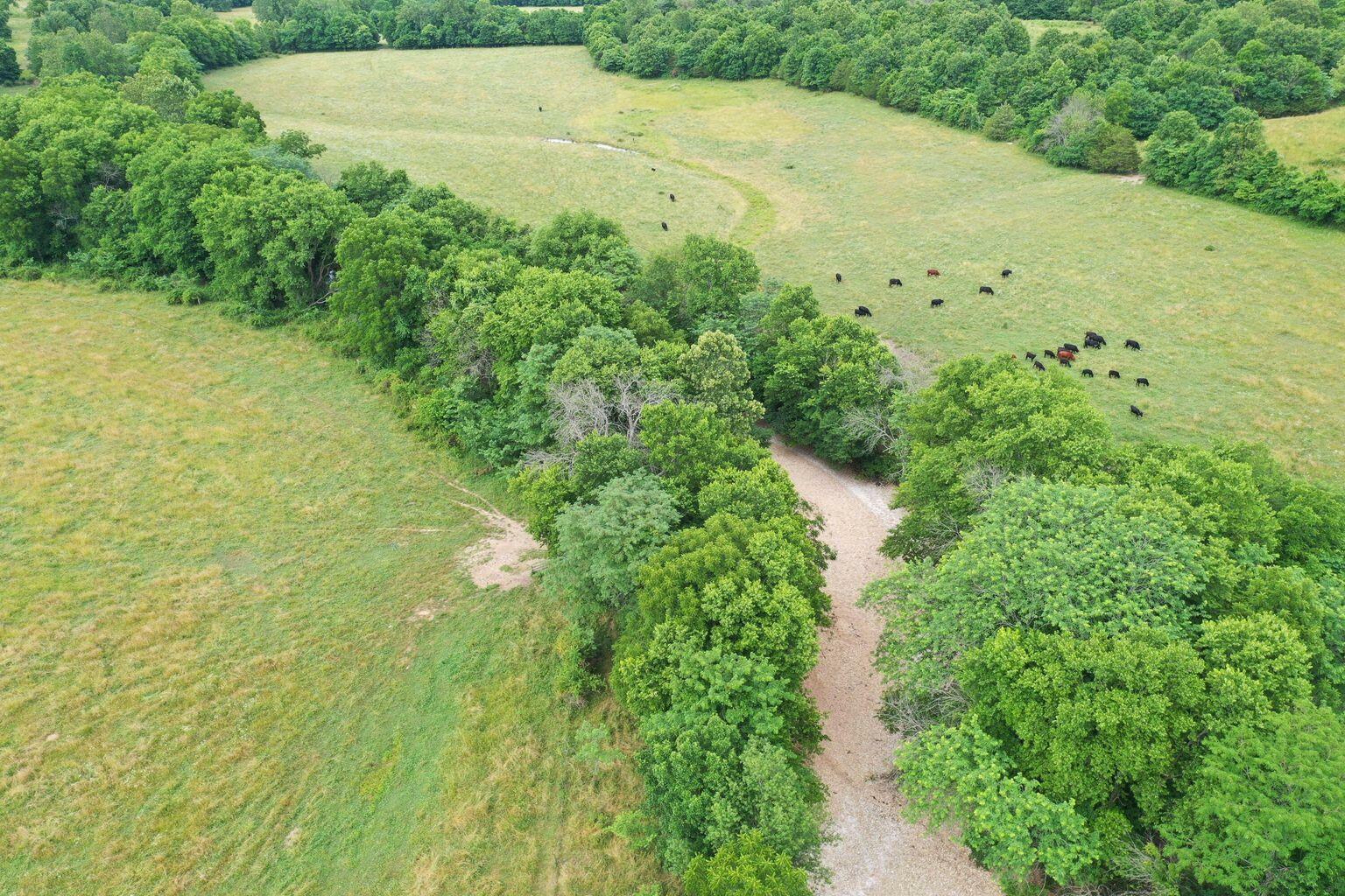 Property Photo: 000 Harmony Road MO 65746