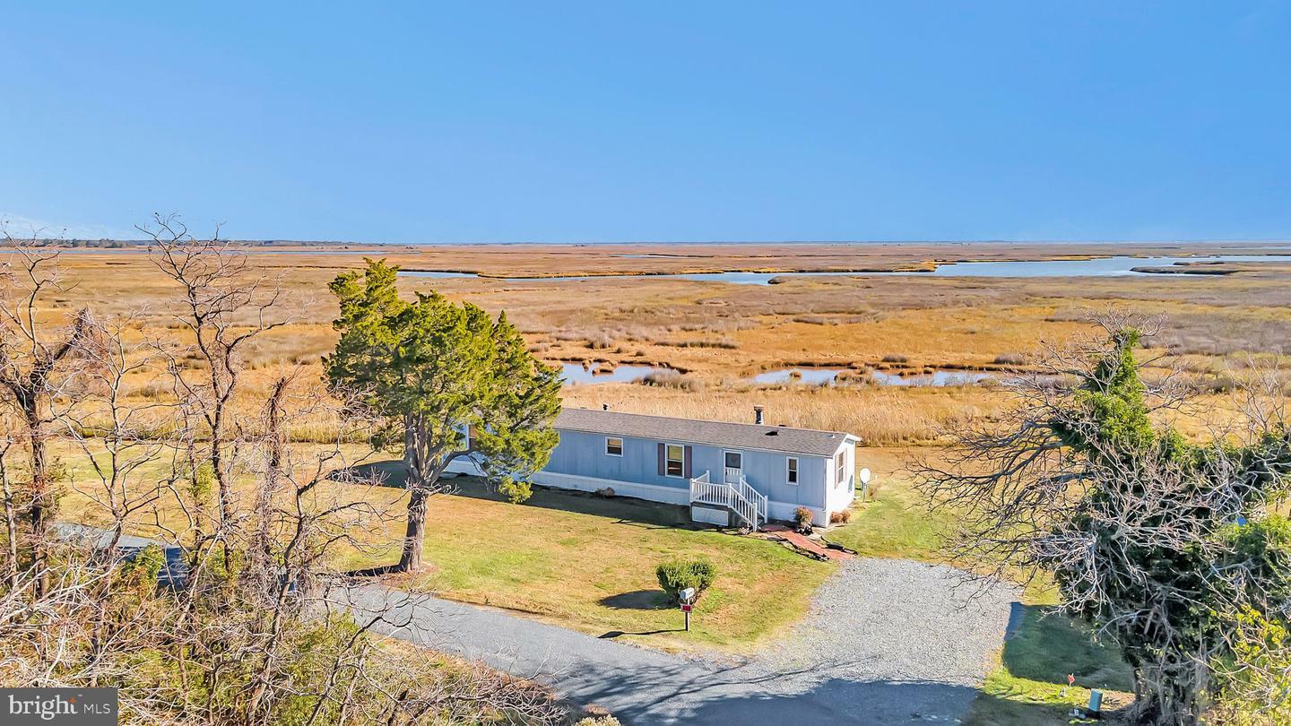 23413 Osburn Webster Road  Deal Island MD 21821 photo