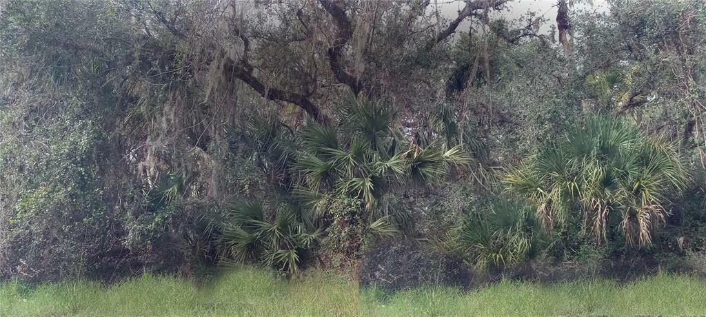 Property Photo:  Backert Road  FL 34291 