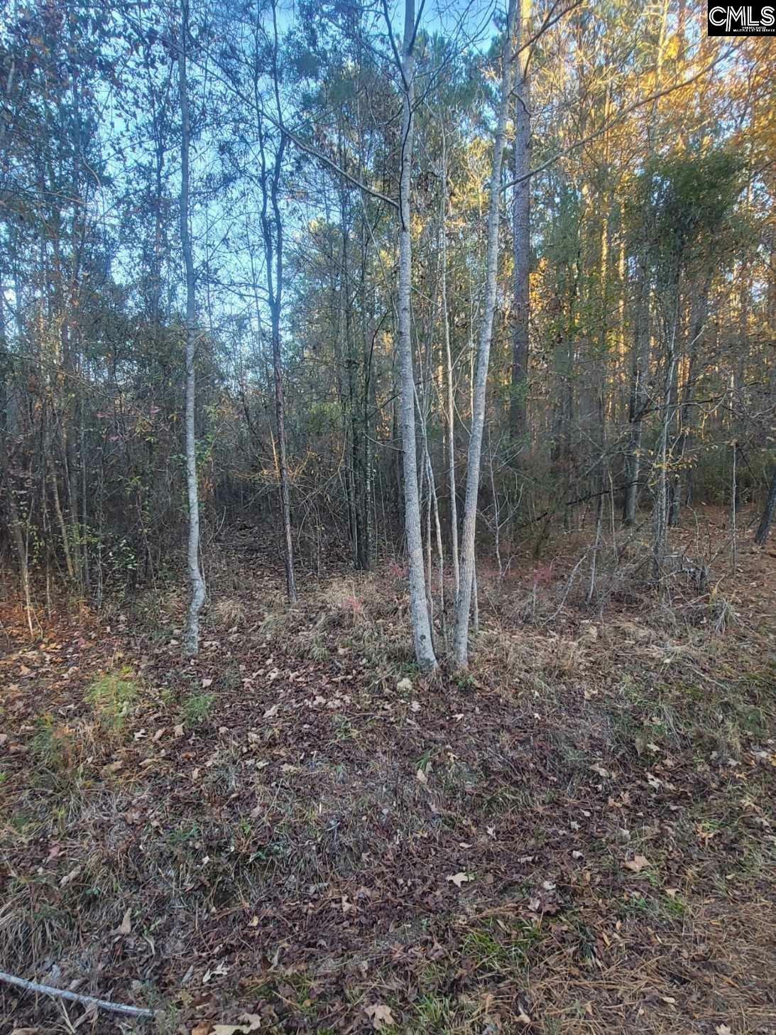 Property Photo:  E/S S Cedar Creek  SC 29052 