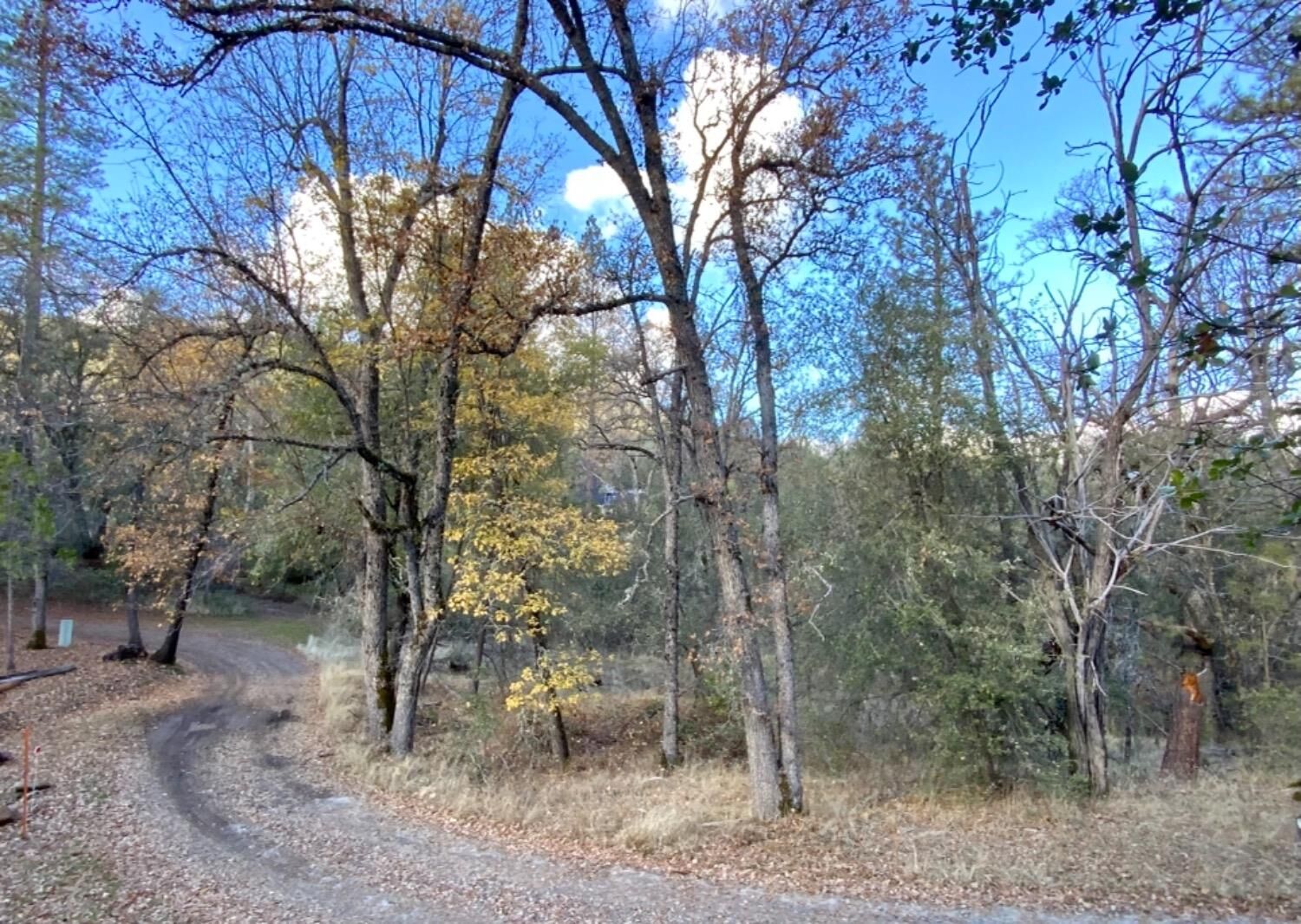 Property Photo: 25 China Creek Road CA 93644