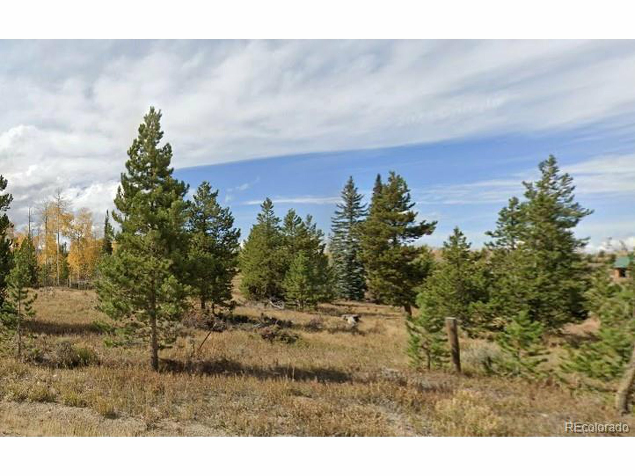 Property Photo:  12500 County Road 3  CO 80468 