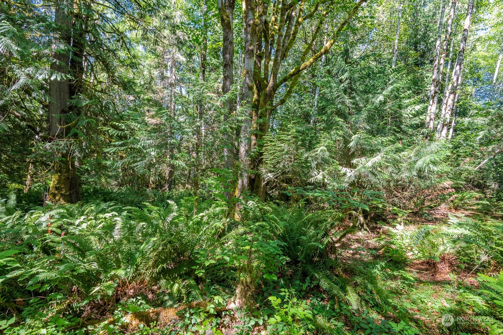 Property Photo:  0 Hide A Way Lane  WA 98383 