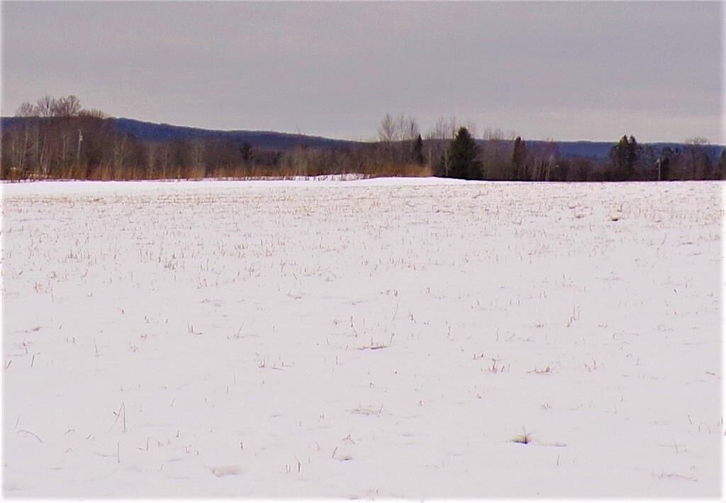 Property Photo:  35 Acres Kief Rd  WI 54895 