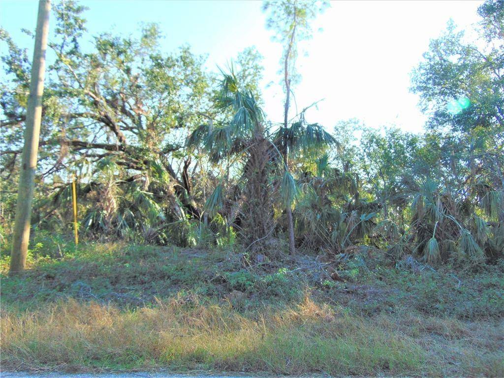 Property Photo:  Bowen Avenue  FL 34288 