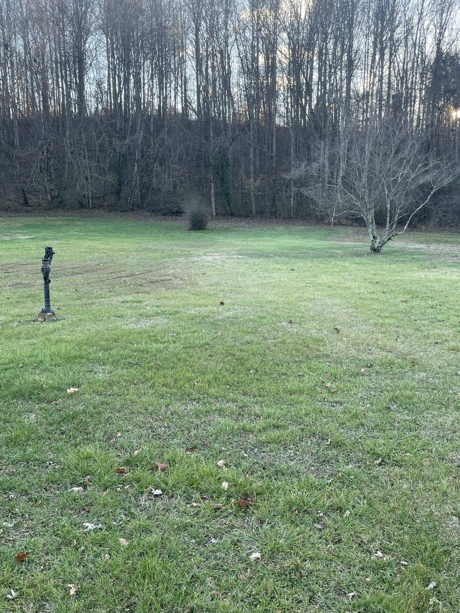Property Photo: 0 East Main Street TN 37150