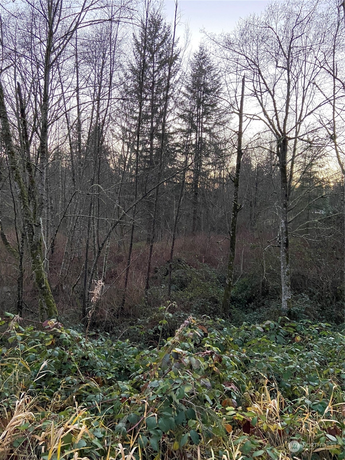 Property Photo:  9214 Grandview Road  WA 98223 