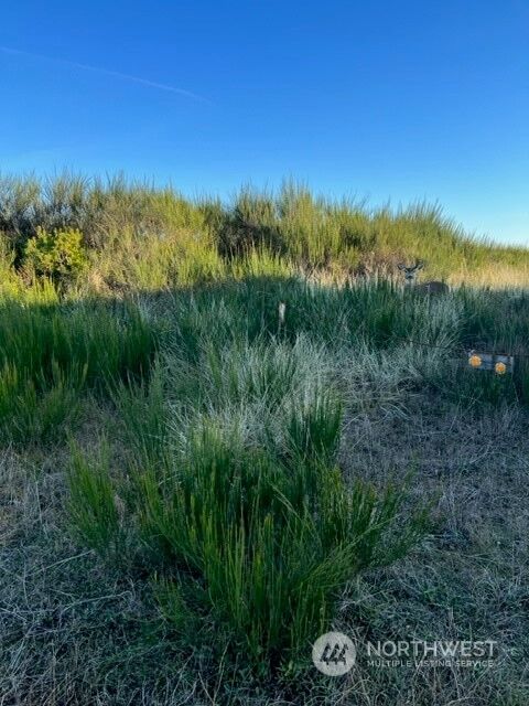 Property Photo: 417 N Portal Loop SW WA 98569