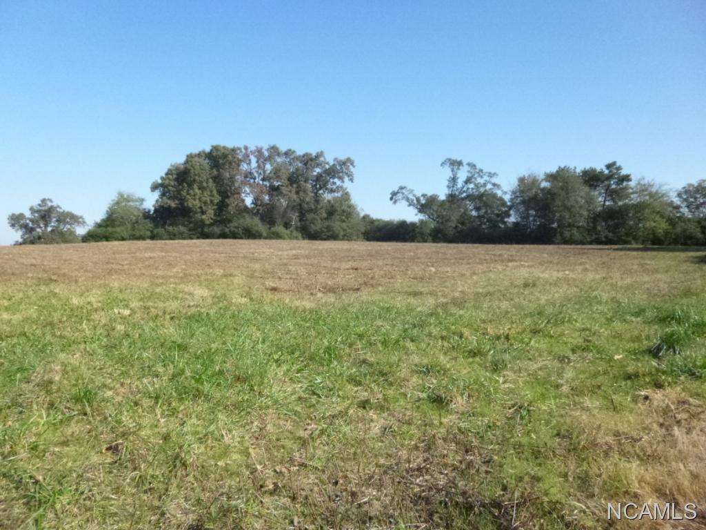 Property Photo: 0 Co Rd 649 AL 35083 - HOLLY PO
