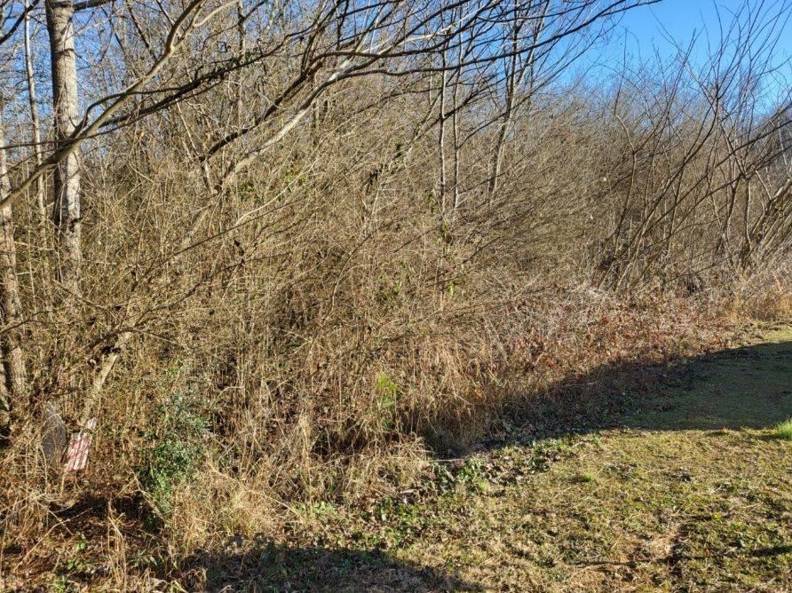 00 Clarendon Rd  Cullman AL 35057 - CULLMAN photo