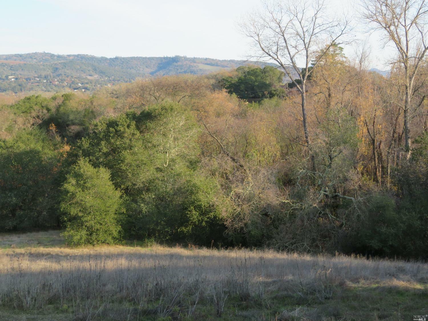 Property Photo: 0 Arnold Drive CA 95472