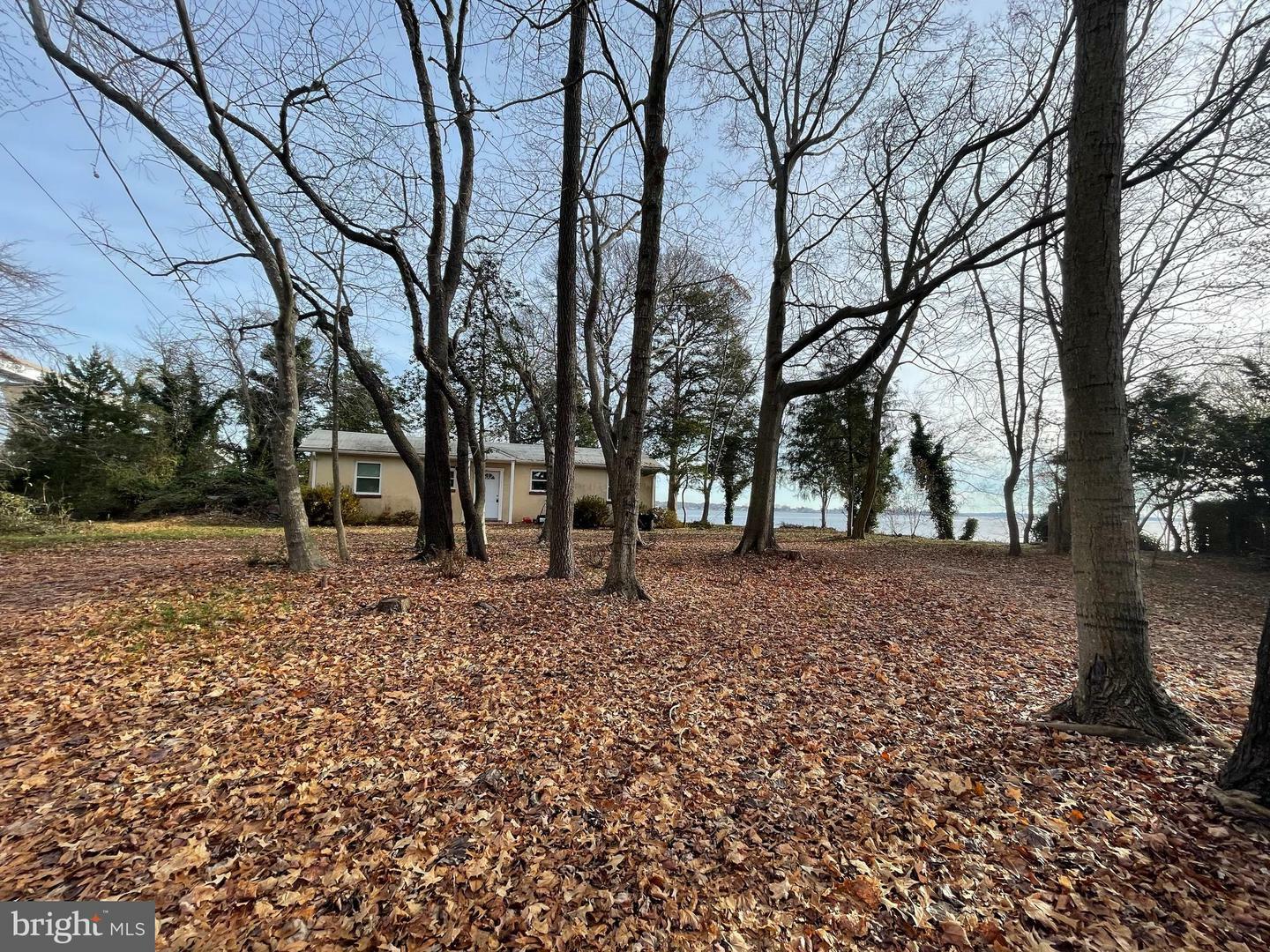 Property Photo:  24143 N Patuxent Beach Road  MD 20619 