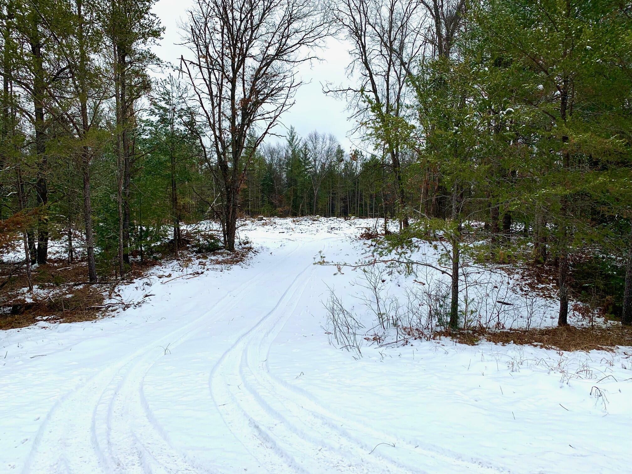 Property Photo:  0 S Grayling Road 12 Acres  MI 48653 