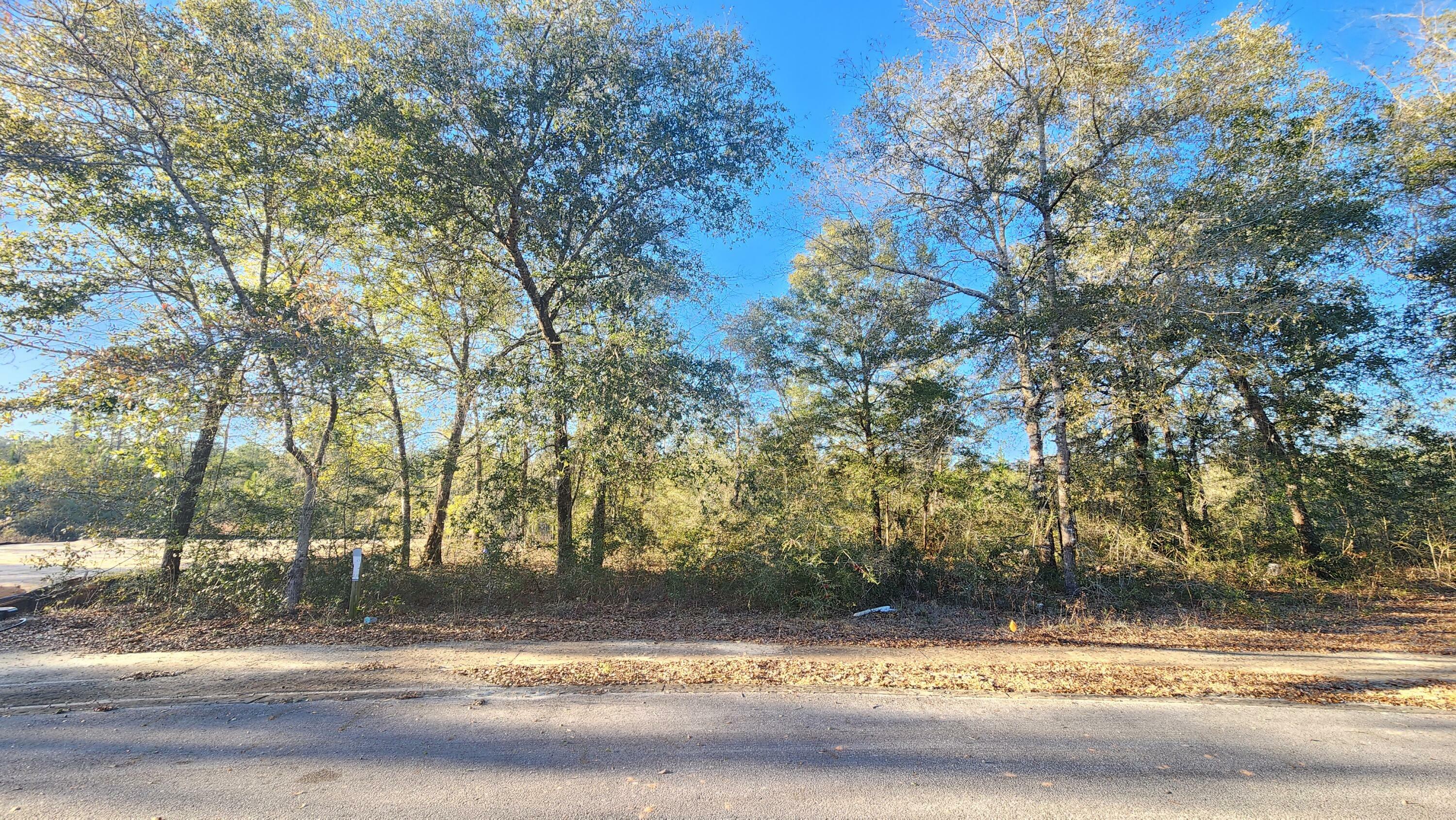 Property Photo:  Lot 12 Pfitzer Court  FL 32433 