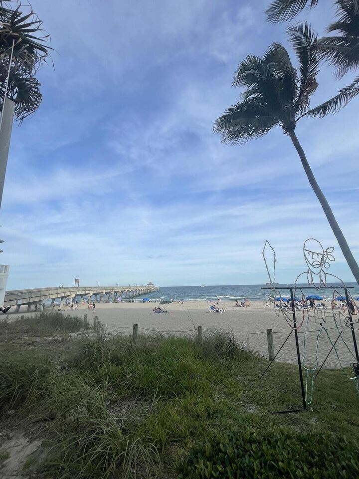 505 NE 20th Avenue 216  Deerfield Beach FL 33441 photo