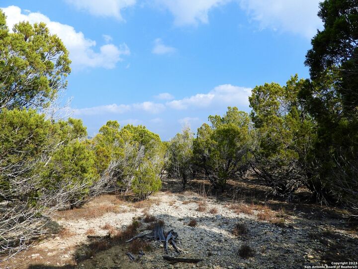 Property Photo: Lot 13 Johnson Road TX 78063