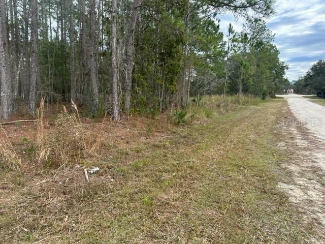 Property Photo:  Otter Drive Lot 0580  FL 33597 