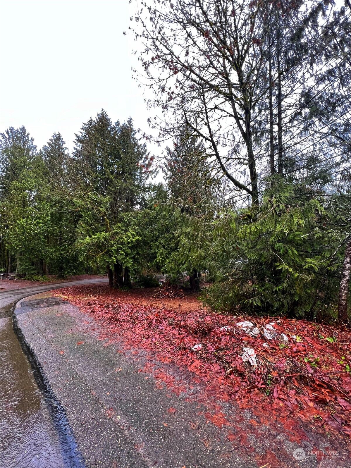 Property Photo:  316 NW Solnae Place  WA 98311 