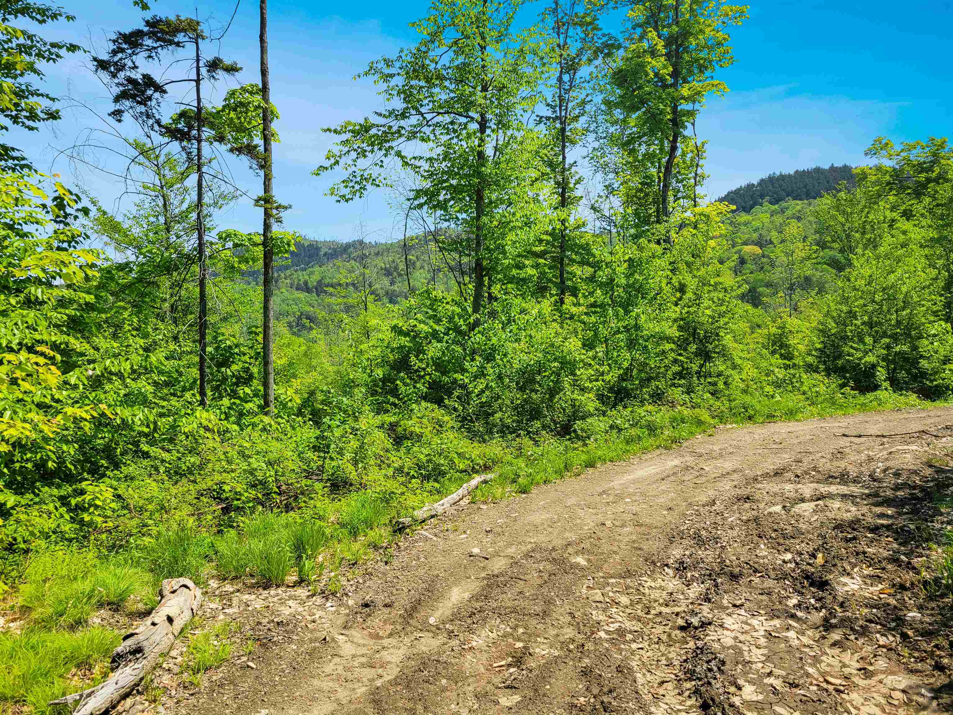 Property Photo:  791 Smutty Hollow Road  NH 03771 