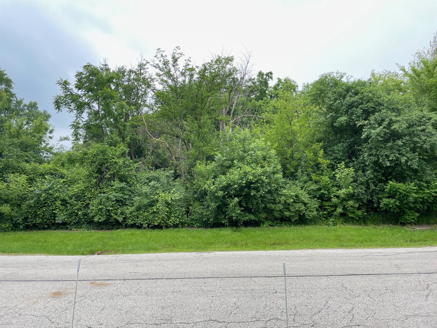 Property Photo:  4424 Pershing Avenue  IL 60515 