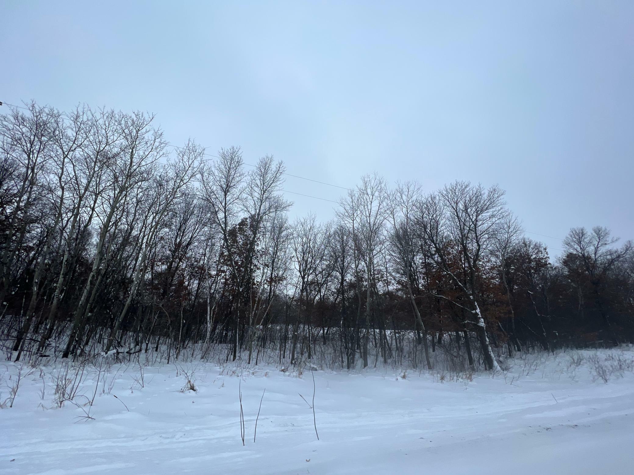 Property Photo: Xxx Ahles Road MN 56301