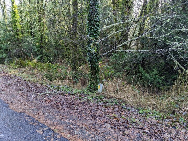 Property Photo: 0 72nd Street SW WA 98351