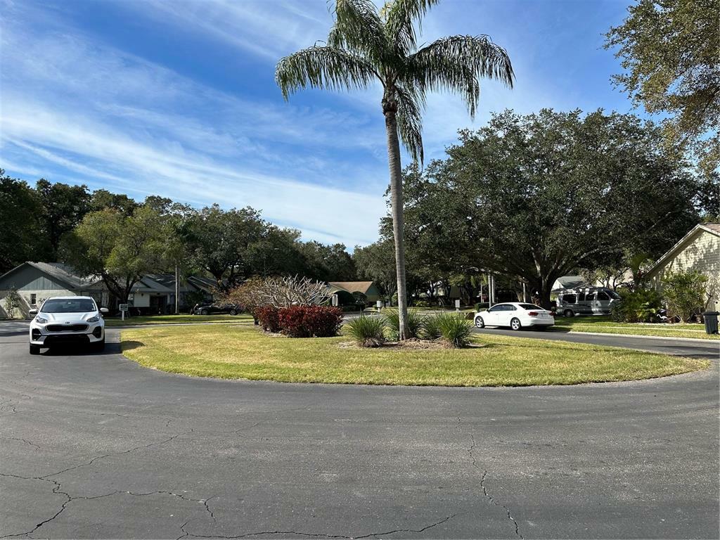 Property Photo:  1477 Brier Court  FL 34683 