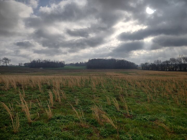 Property Photo: 10 Highway161 TN 37172