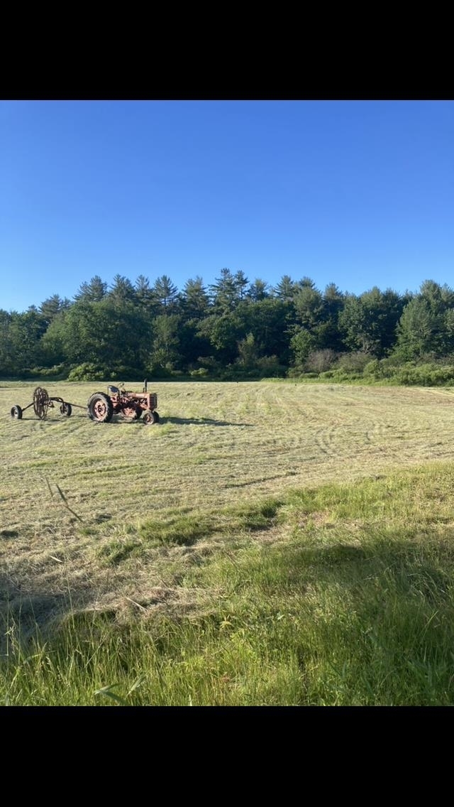 Property Photo: 19A Center Road NH 03221