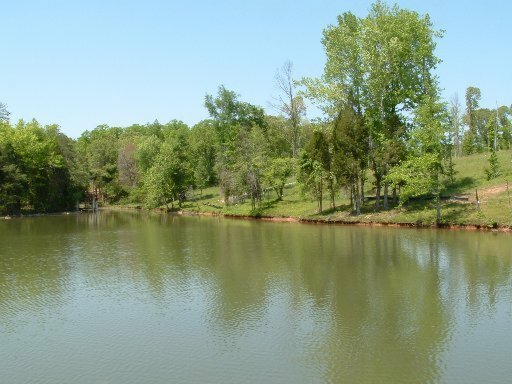 Property Photo:  1453 Scenic Lakeview Drive  TN 37381 