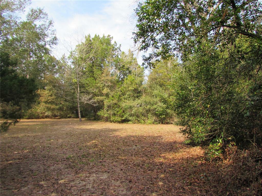 Property Photo:  Tbd SW 202nd Avenue  FL 34431 