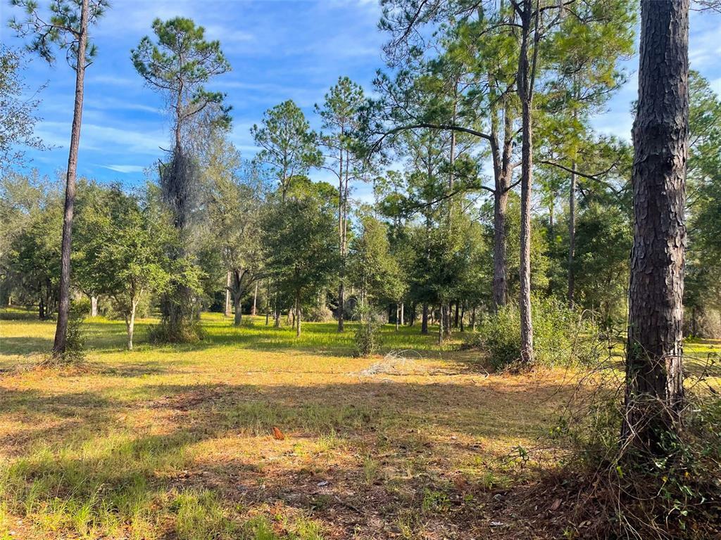 Property Photo:  Falabella Court  FL 34736 