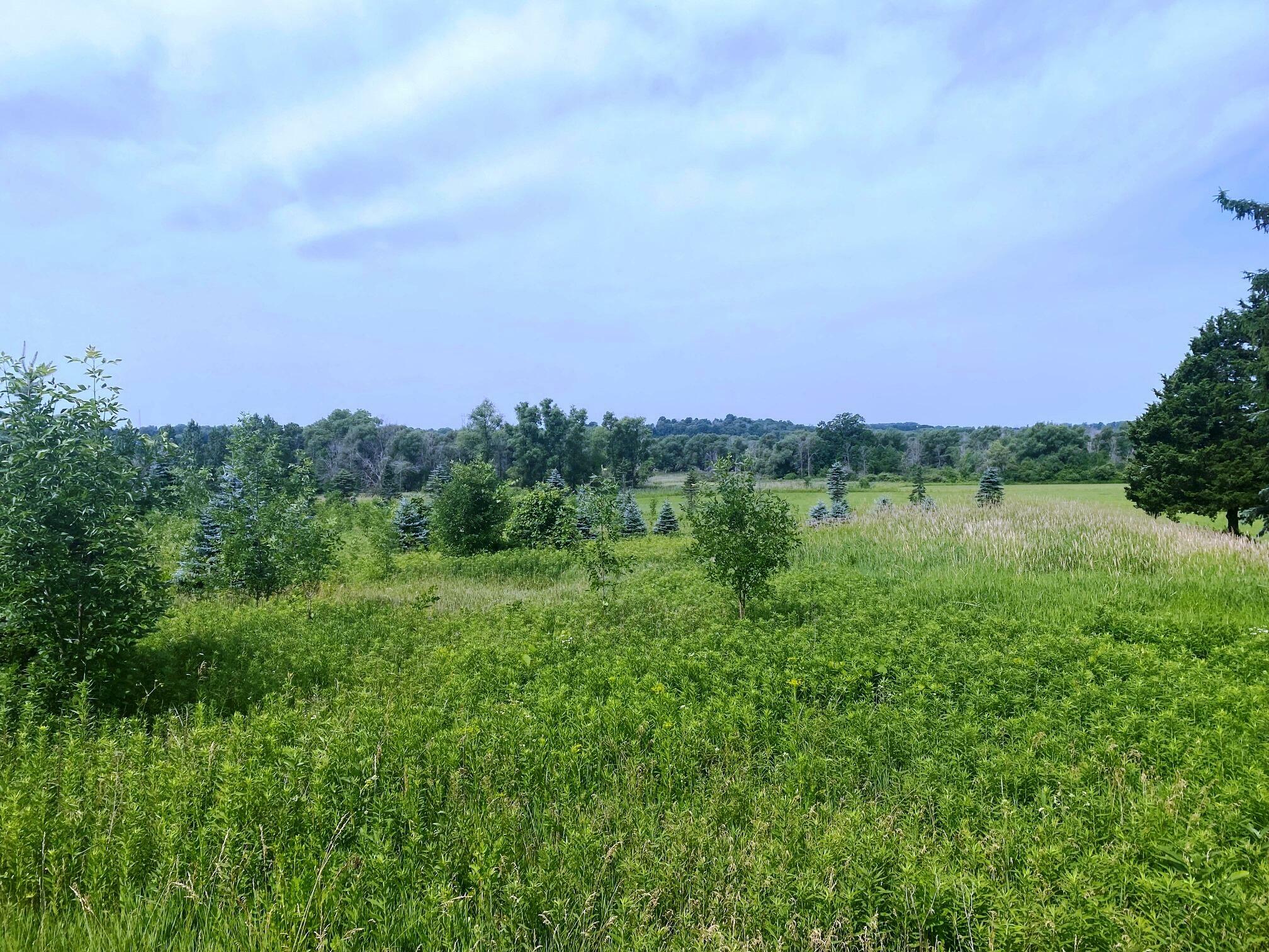 Property Photo: Lt2 Weis St WI 53002