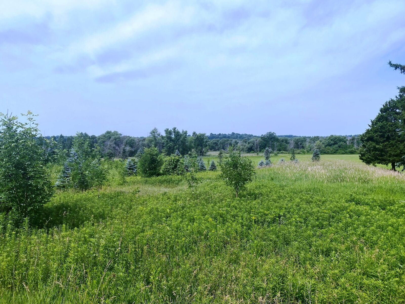 Property Photo: Lt2 Weis St WI 53002