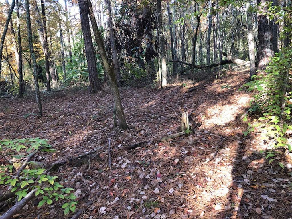 Property Photo:  0 Teepee Trail  GA 30185 