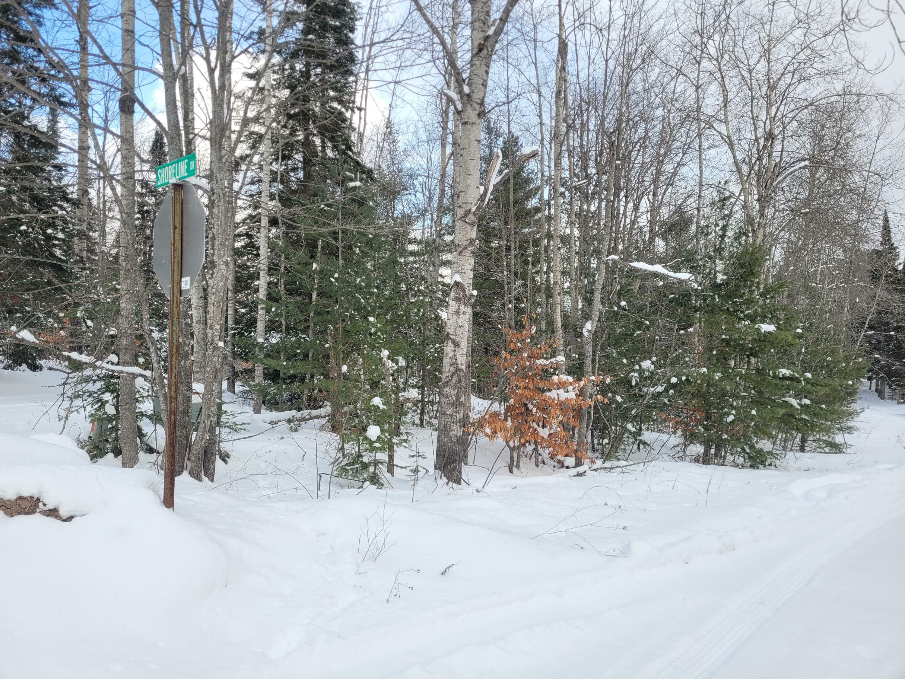 Property Photo: 1682 Mont Gabriel Drive MI 49799