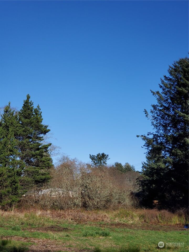 Property Photo:  1410 101st Lane  WA 98631 