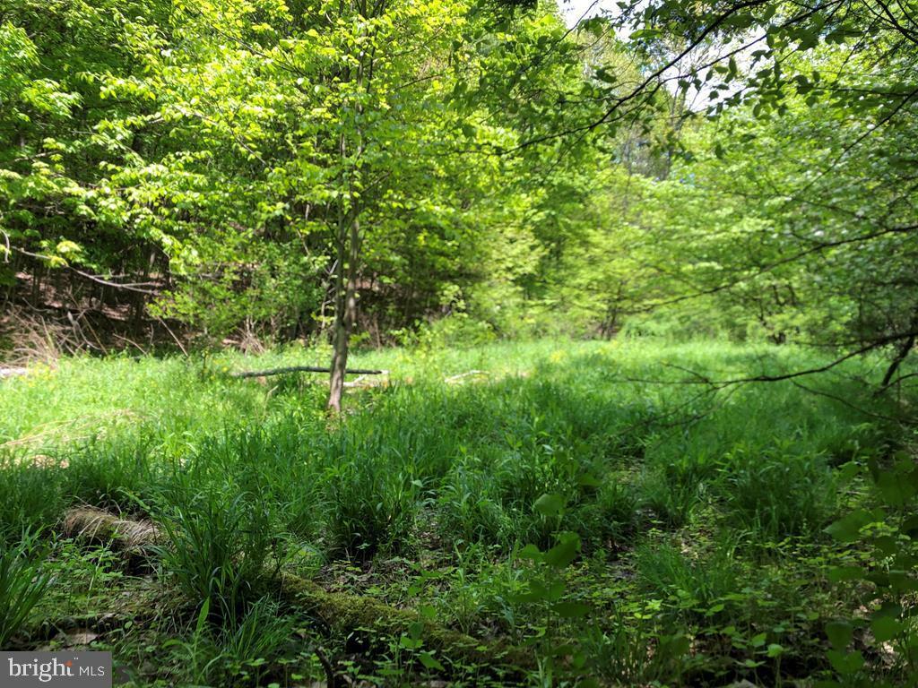 Property Photo:  0 Gypsy Camp Hollow  PA 16686 