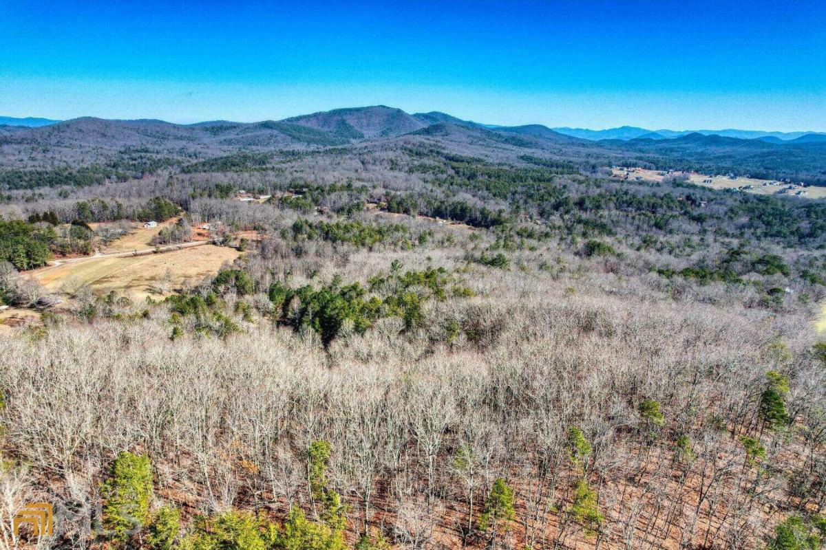 Property Photo:  40ac Ivy Log Road  GA 30512 