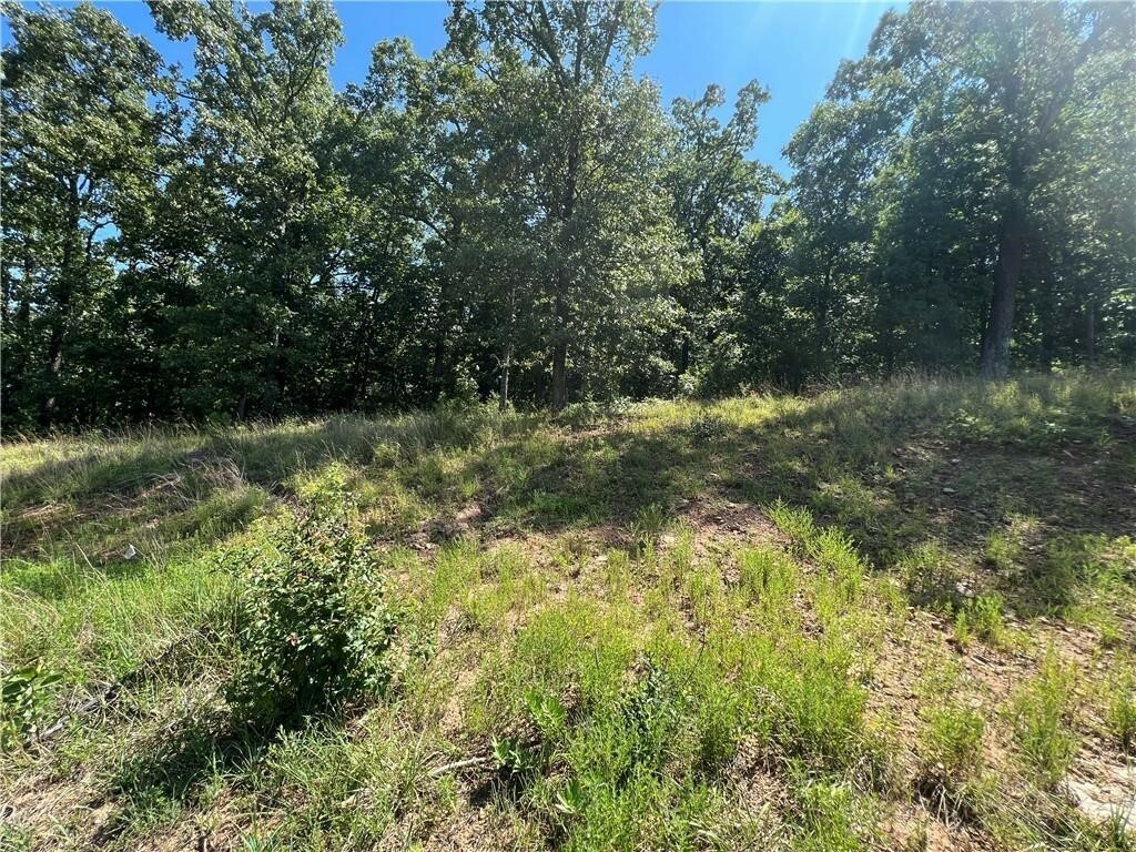 Property Photo:  2356 N Marks Mill Lane  AR 72703 