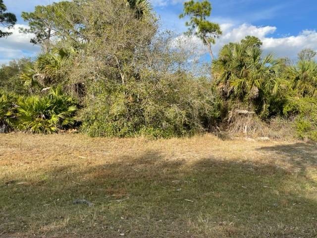 Property Photo:  16717 Acapulco Road  FL 33955 