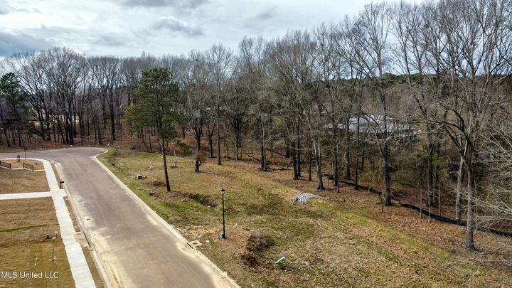 Property Photo: 110 Belle Fleur Lane MS 39056