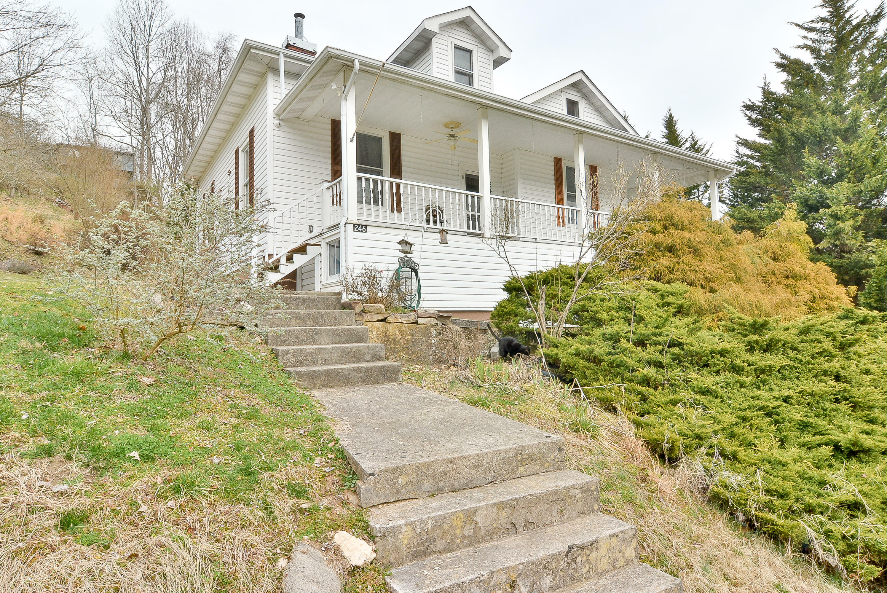 Property Photo:  246 Fir Street  VA 24251 