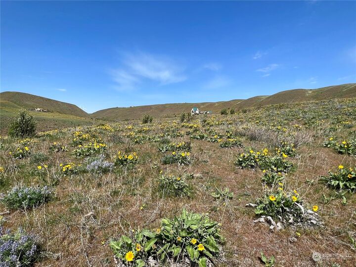 Property Photo: 1 Lot 9 Ellensburg Ranches Road WA 98926